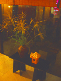 a0047618_0442423.jpg