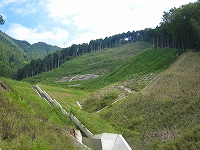 e0002820_2302998.jpg