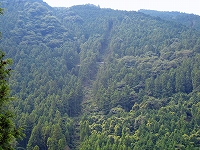 e0002820_230386.jpg