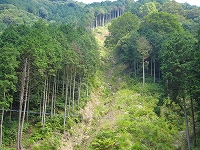e0002820_230813.jpg