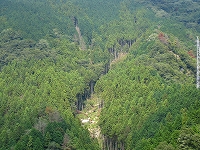 e0002820_2316100.jpg