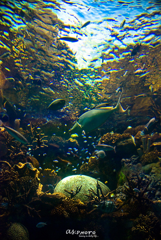 c0126428_2246335.jpg