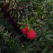 a0046429_9272070.jpg