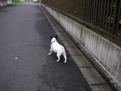 e0008833_16534132.jpg