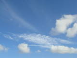 b0117437_10134856.jpg