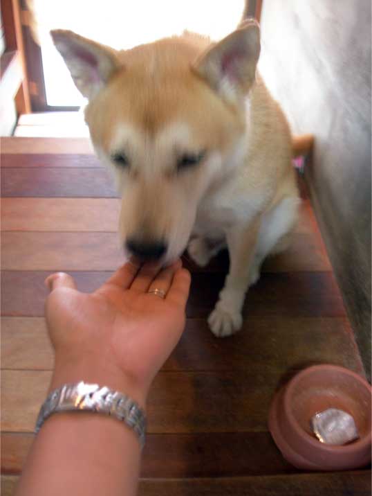 e0077145_110110.jpg