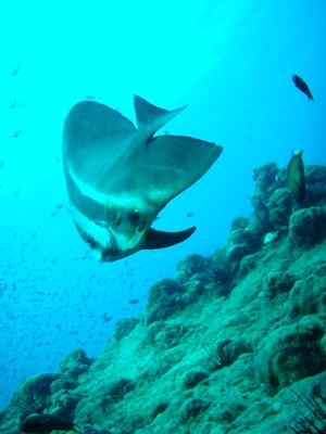 e0027447_1710440.jpg