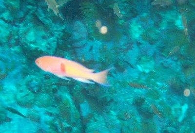 e0027447_17122447.jpg