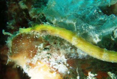 e0027447_17212498.jpg