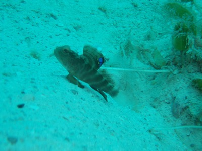 e0027447_17225965.jpg