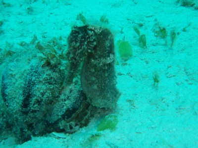 e0027447_17323676.jpg