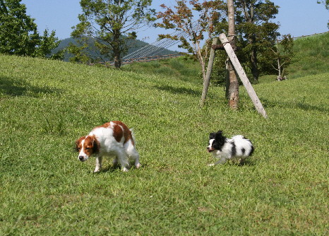 d0013149_0522042.jpg