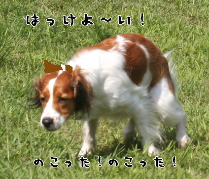 d0013149_055142.jpg