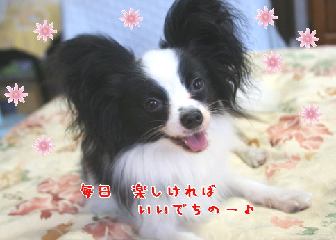 d0013149_1231536.jpg