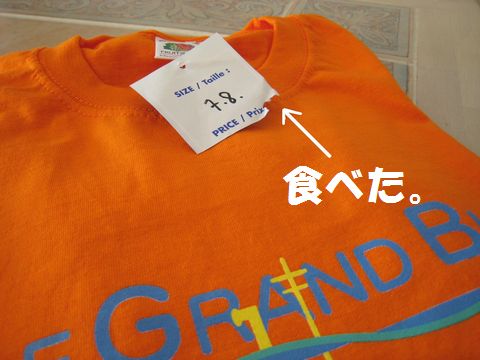a0090451_1031422.jpg