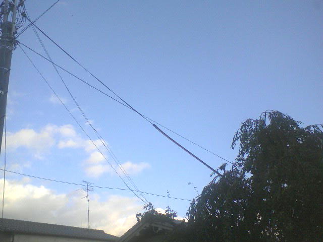f0132055_9123395.jpg