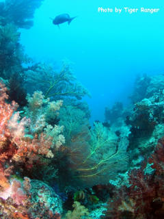 f0045956_1313581.jpg