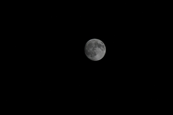 f0051256_2061440.jpg