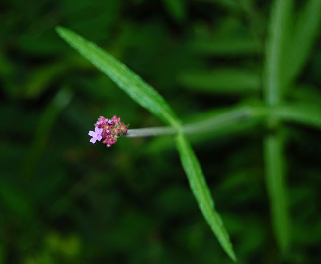 b0112758_1818591.jpg
