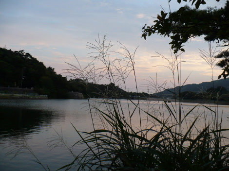 a0063364_2324272.jpg