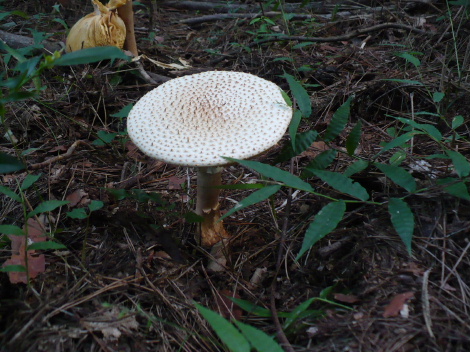 a0063364_2375410.jpg