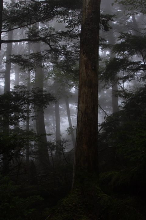 b0027267_2226792.jpg