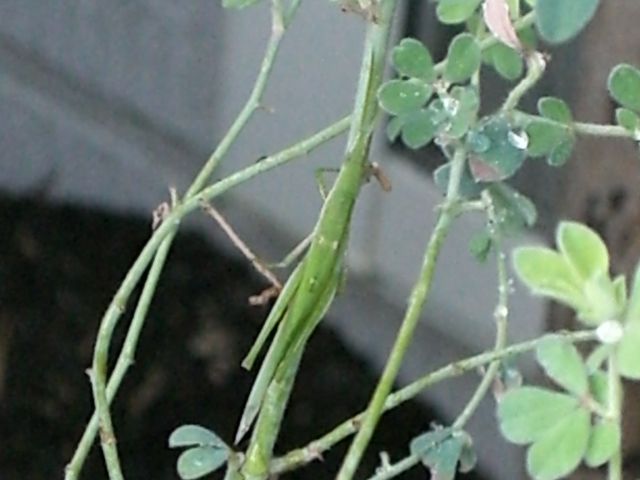 b0119969_18135585.jpg