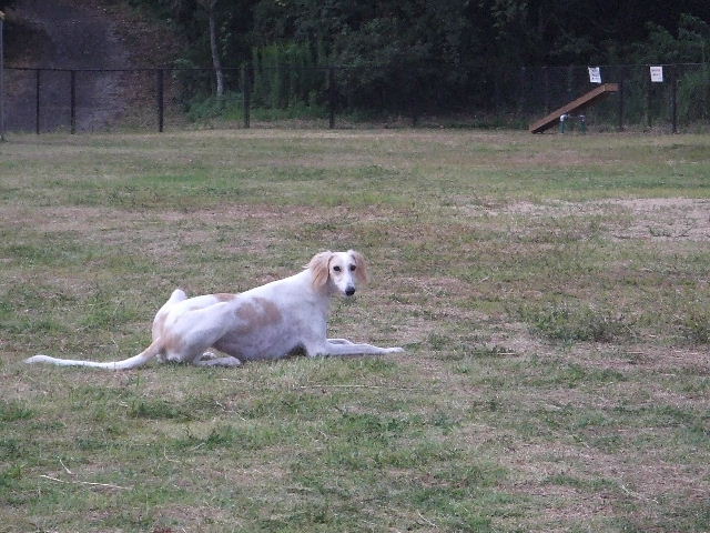 e0003270_9451355.jpg