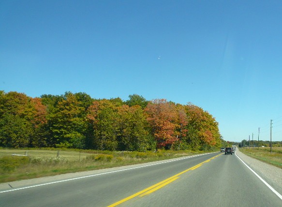 a0100975_10593586.jpg