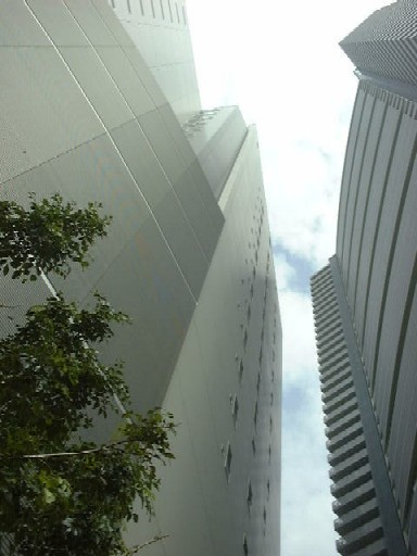 f0039281_21153715.jpg