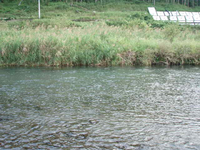 e0125483_19142771.jpg