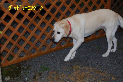 c0092787_11283447.jpg