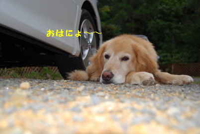 c0092787_11284567.jpg