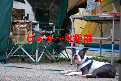 c0092787_11505748.jpg