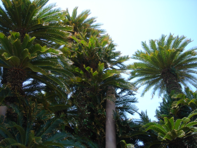 f0091590_2405212.jpg