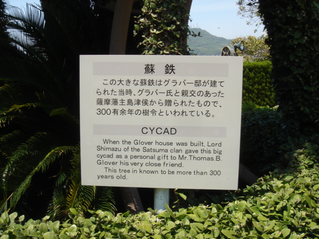 f0091590_241131.jpg