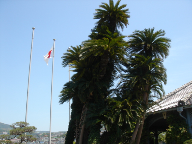 f0091590_242561.jpg