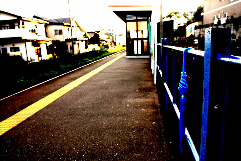 d0027893_18383020.jpg