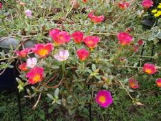 f0130894_22232255.jpg