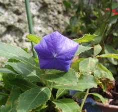 f0130894_22375111.jpg
