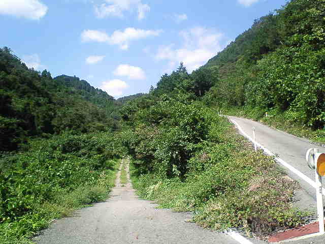 b0075797_16161687.jpg