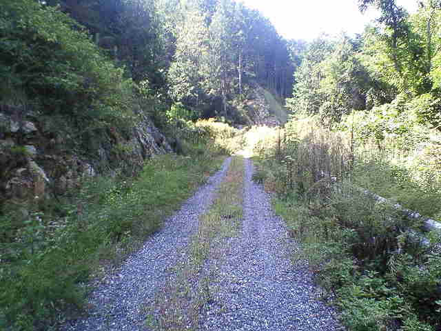 b0075797_1617504.jpg