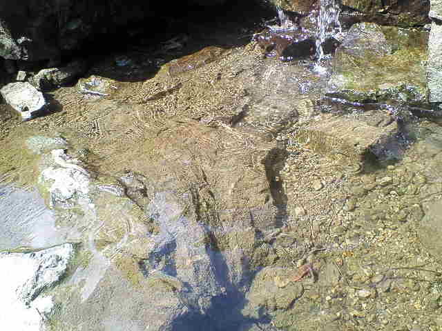 b0075797_1619055.jpg