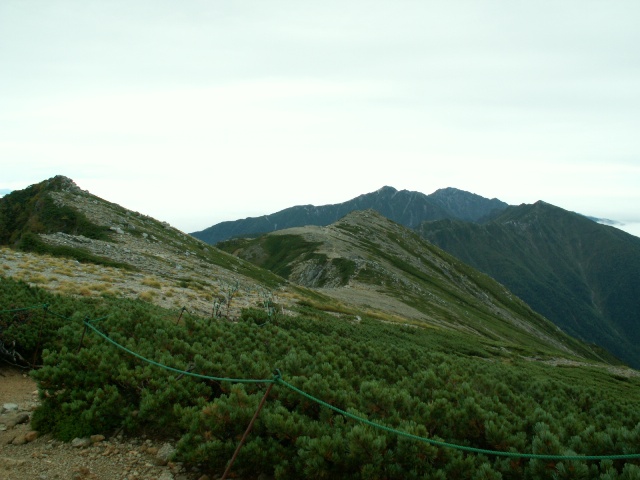 b0039898_2039569.jpg