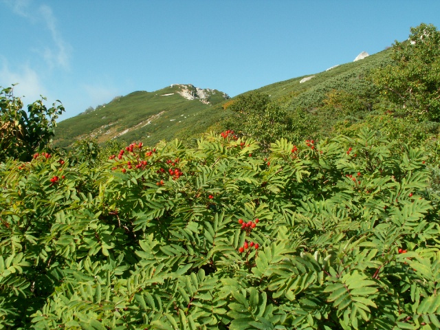 b0039898_2040567.jpg