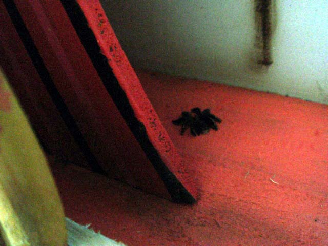 f0058098_12522480.jpg