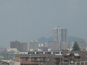 d0121300_153619.jpg