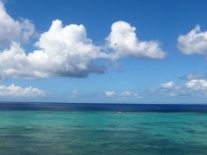 d0016003_13345355.jpg