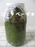 c0017505_9331128.jpg