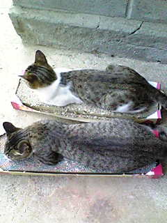 c0103205_20244885.jpg